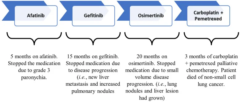 A patient, who was diagnosed with Stage IV Lung Adenocarcinoma