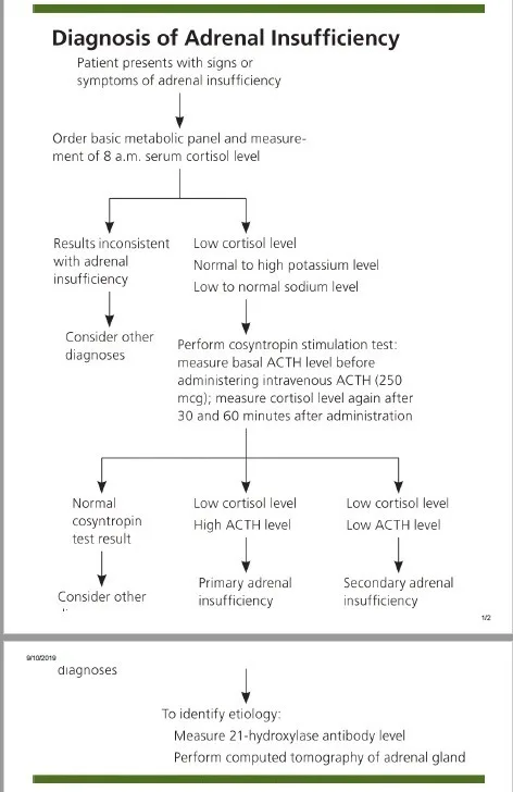 A patient, who was diagnosed with Stage IV Lung Adenocarcinoma